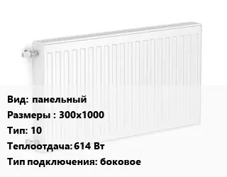 Радиатор стальной панельный 300х1000 10 614 Вт Подкл:боковое